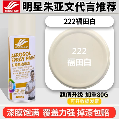 Avtomobil boyası | Red, Varnish, Clear Paint, and - futian-white-12-bottles-450mlbottle-spray-paint