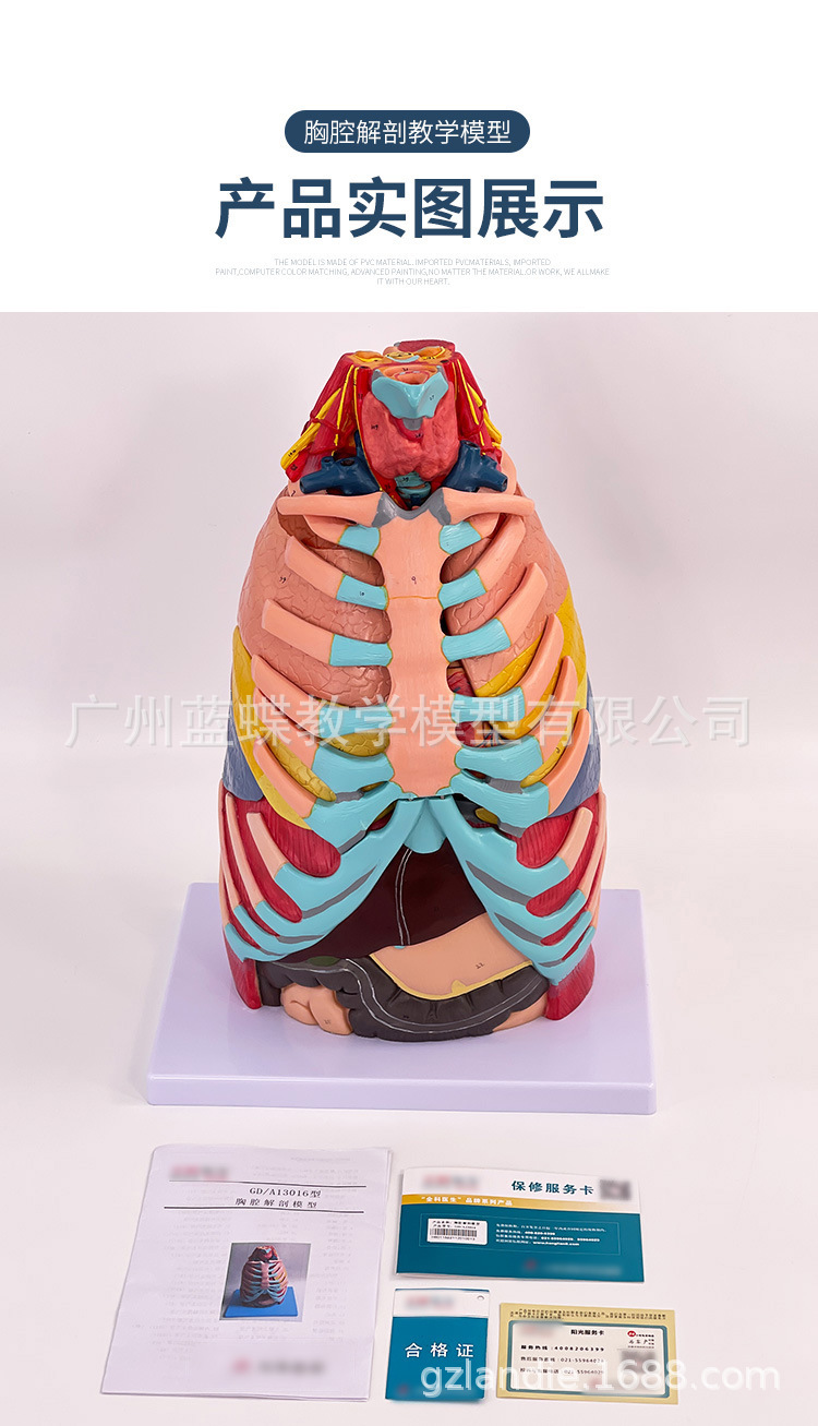 ������ǻ���������ģ������ηκ���ϵͳģ�ͺ�����ҽѧ�̾�