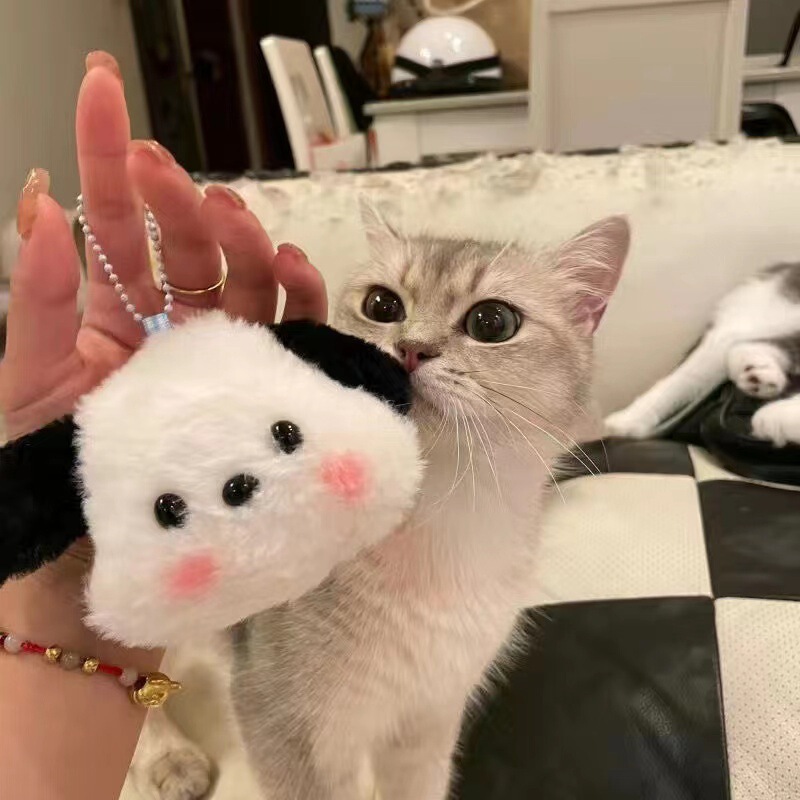 Sanrio Parchia Dog Head ins Little Red Book Same Style Girl's Heart Bag Doll Pendant Blush Parchia Dog Doll