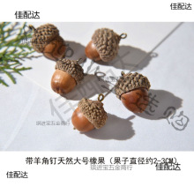 带橡果配件羊角干果钉手作很真的橡子DIY天然垒德株垒德株
