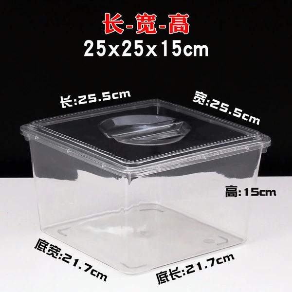 ☆✷Length 25cm Width 25cm Height 15cm Transparent with cover☆✷