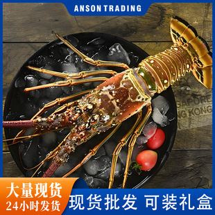 �Ű����r������r�ʹ��ƻ�������r���r�����r1.1kg+/ֻ  ���l�F