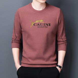Wei Yi men's solid color bottoming shirt autumn long sleeve T-shirt crew neck youth padded double-sided velvet autumn clothing a generation of hair