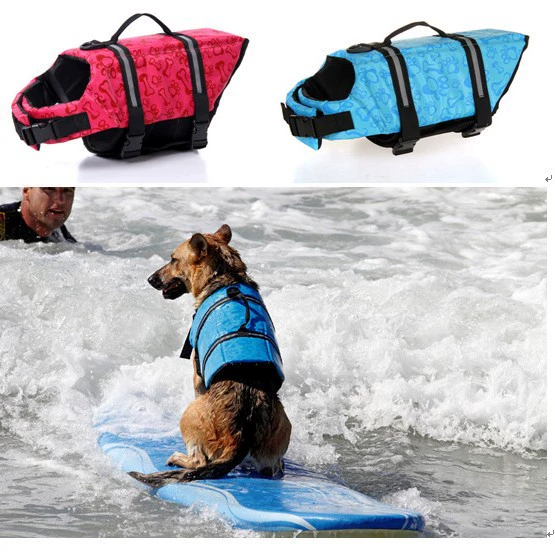 Спасательный жилет для собак