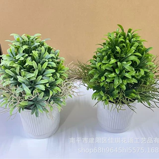 亚马逊仿真绿植好养植物室内盆栽创意花卉盆景装饰品摆件教师节