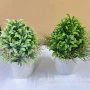 教师节仿真盆栽植物绿植