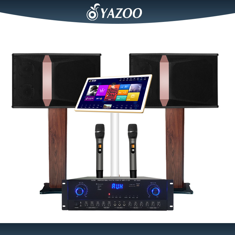 Altavoz + amplificador + micrófono + máquina de karaoke