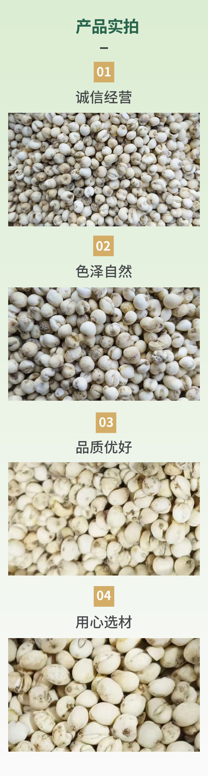 Dried Fritillaria Bulb Bei Mu 500g Bagged Herbal Decoction Pieces specifications