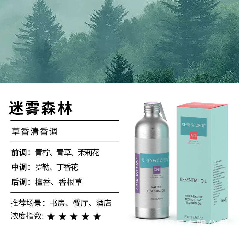 미스티 포레스트(라이트)