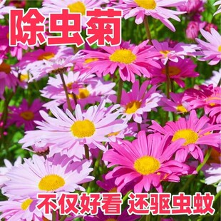 ���x�ջ��N���ӻ�ɫ���ֲ�����Ի��N���_��ͥԺ�̨���ܷN��