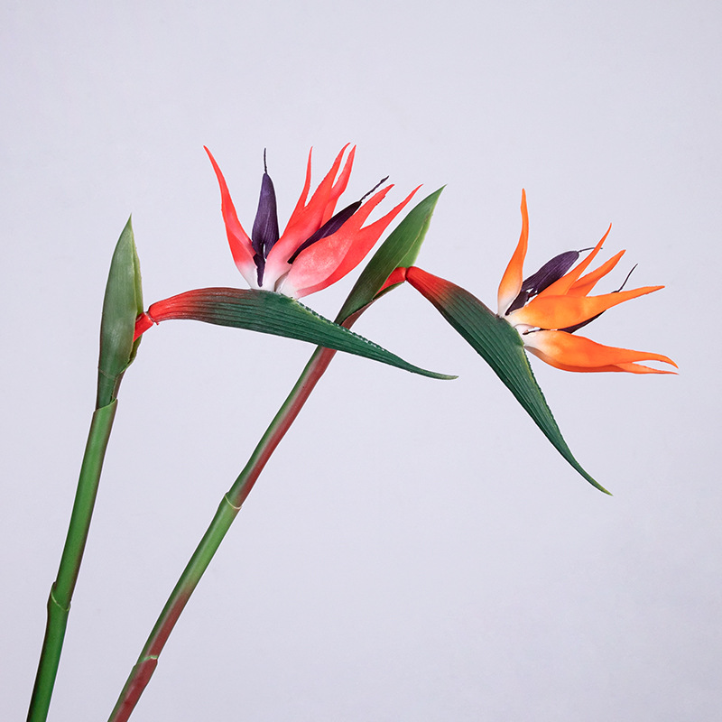 Simulación de pegamento suave ramita pájaro paraíso modelo de decoración para el hogar adornos para la fotografía props de plástico flores falsas al por mayor