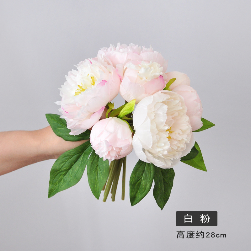 백색 분말