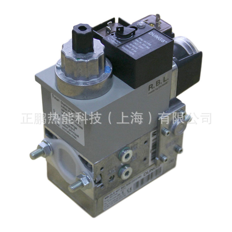 MB-ZRDLE 407 B01 S50 226870DUNGS燃气阀技术支持