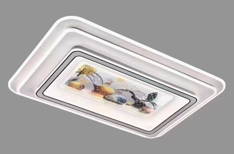 Smart Control LED Ceiling Light 6