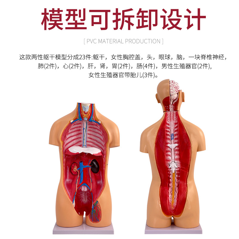 85CM���������ɿɲ��Ϊ23����������ģ�� ��������ģ�͸�����