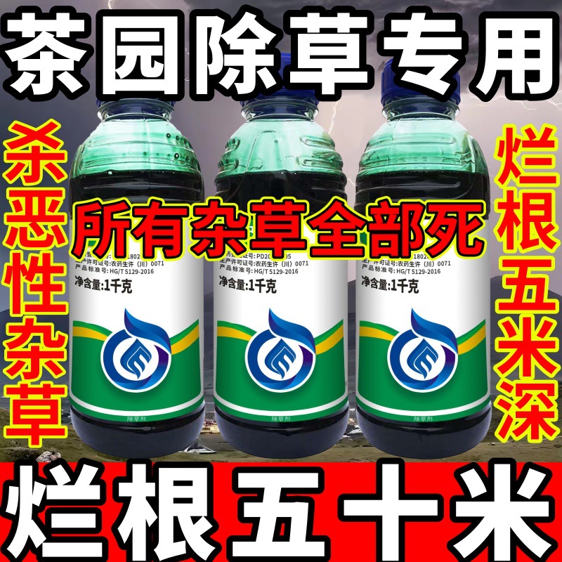 高浓度精草铵膦铵盐除草剂小飞蓬牛筋草斩草除根杂草茶园除草专用