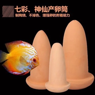 Colorful pottery jar crystal shrimp activity filter material fish tank crystal shrimp aquarium aquarium aquarium supplies fish tank spot