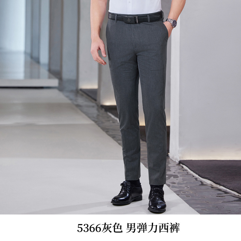 Như ảnh