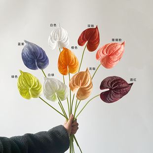 ���Sֱ�N���滨��֦PUܛ�z��t�ƻ��Q���G���ָмٻ���c�Ҿӻ���