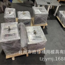 供应精密塑料模具，模具设计与制造