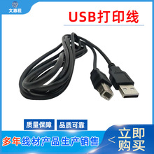 ��܇����USB��ӡ�� ܇�dUSB��ӡ�C���ļ��~ �L�ȿɼӹ��� ��