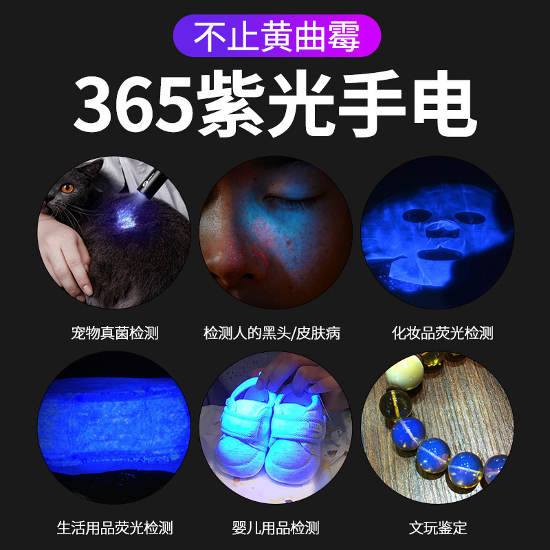 UV紫光手电筒验钞笔365nm蔬菜检测灯荧光蓝钒波尔多液农残检测|undefined