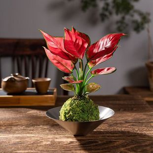 ���⼪���ț�\��Gֲ���ԃ����՚���ĳȩֲ���辰�҃��k���ҿ͏d