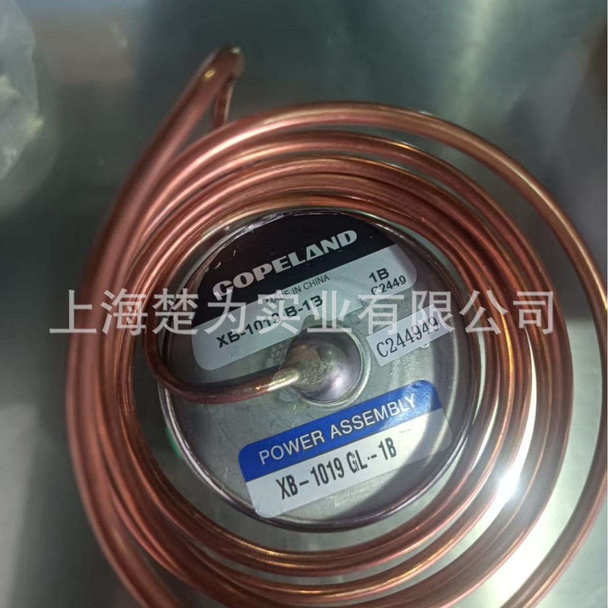 XB 1019 MW55  -1B  XB1019GL  2B XB 1019GL  2B  1019GL 1019MW