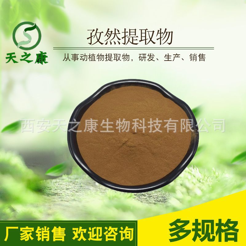 孜然提取物10：1  孜然粉 水溶性粉末  天之康生物 大量现货 供应