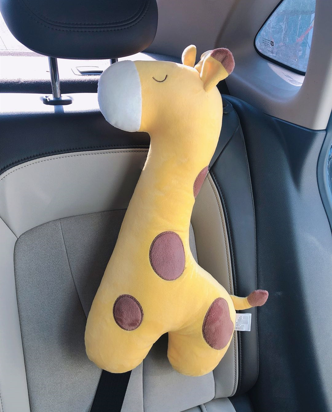 New giraffe left