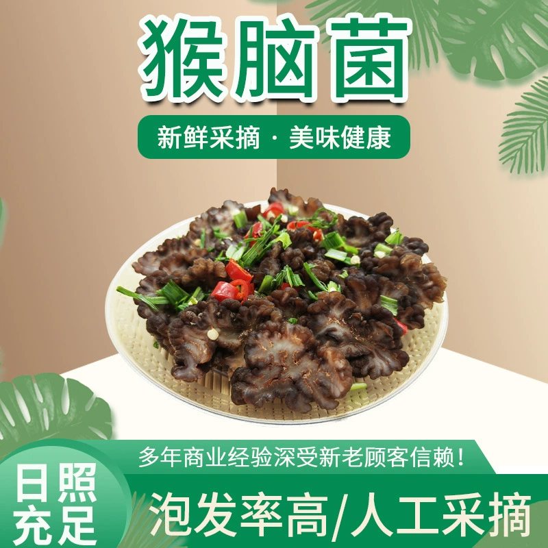 Съедобный гриб мозг обезьяны гриб отель ингредиенты грецкий орех гриб мозг обезьяны север и юг поставка Сухого Корма оптом