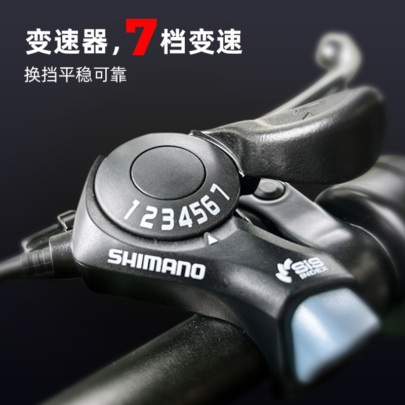 Bicicleta asistida eléctrica de montaña en el extranjero Q3 bicicleta de transmisión eléctrica todoterreno scooter asistida de alta potencia para adultos