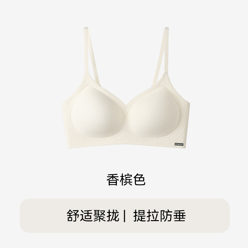2025秋冬新款内衣女小胸聚拢显大提拉防下垂上托收副乳无痕文胸罩|undefined