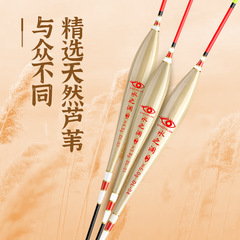 帶殼蘆葦漂 大物魚漂帶殼硬殼細尾輕口靈敏競技魚漂浮標蘆葦魚漂
