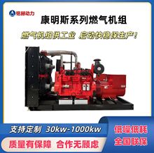 300kw˹ȼCMȻӚ״lBֳ̈O