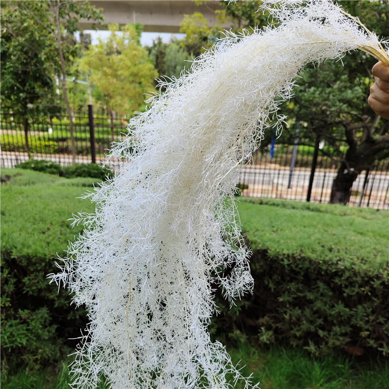 Bulk Everlasting Flowers Everlasting Flower Gift Box Glass Cover Floating Flowers Everlasting Preservation Winter Silk Asparagus Flower Material Flower Decoration