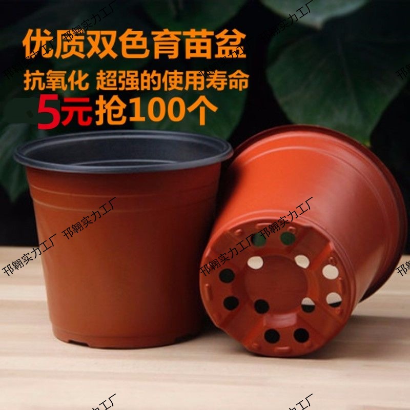 便宜双色盆育苗杯一次性盆塑料杯草莓盆简易软盆花盆处理
