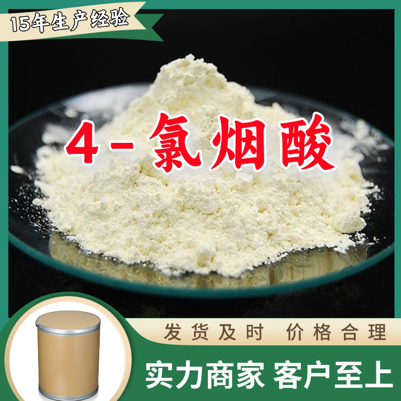 4-氯烟酸  99% 现货直供库存大源头企业基地直供品种齐全山东江苏