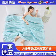 temu Xiyin クロスボーダー夏クールキルトライト高級アイスシルクサマーキルトクールシルクエアコンキルト夏のギフトキルト卸売