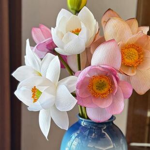 �羳����ɻ���Ʒ�|ɏ��Դ�^���S���l���滨��c�Ҿ����lܛ�b