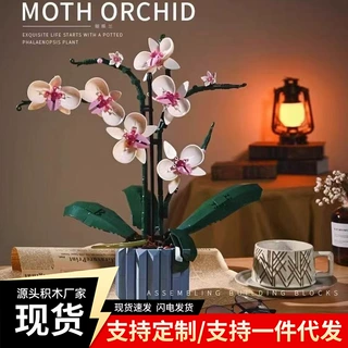跨境兼容乐高蝴蝶兰花积木花束盆栽满天星儿童拼装模型礼物批发