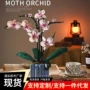 乐高儿童兼容拼装积木