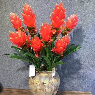 Simulation Flower Hongyun Dangtou Festive New Year Flower Home Decoration Housewarming Placement Project Simulation Torch Simulation Pineapple