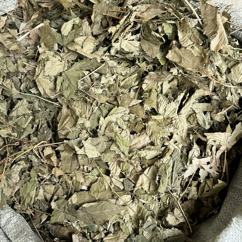 Guangxi sweet tea acerola tea dried leaves palm leaves raspberry leaves sweet tea extract original Wholesale