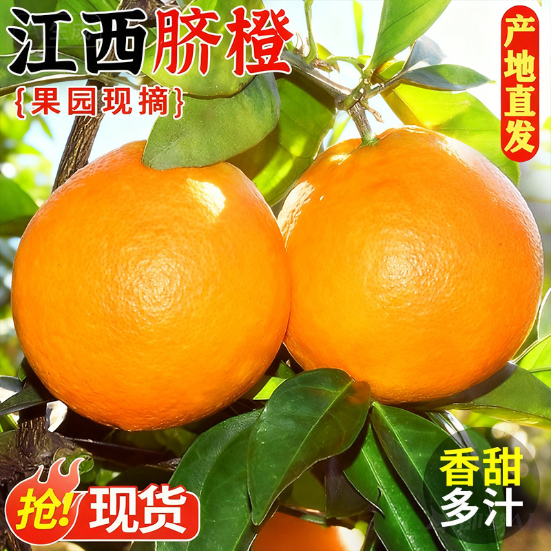 赣南脐橙江西新鲜水果20斤当季橙子手剥果冻冰糖甜橙直批现摘