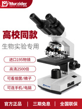 MurziderĿI@΢RСWÿӹWӃ