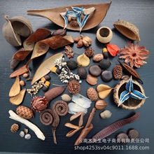 ��Ȼֲ������ϼ���ֲ��˱��~���þ�ֲ��˱�diy�ֹ����ϰ����l