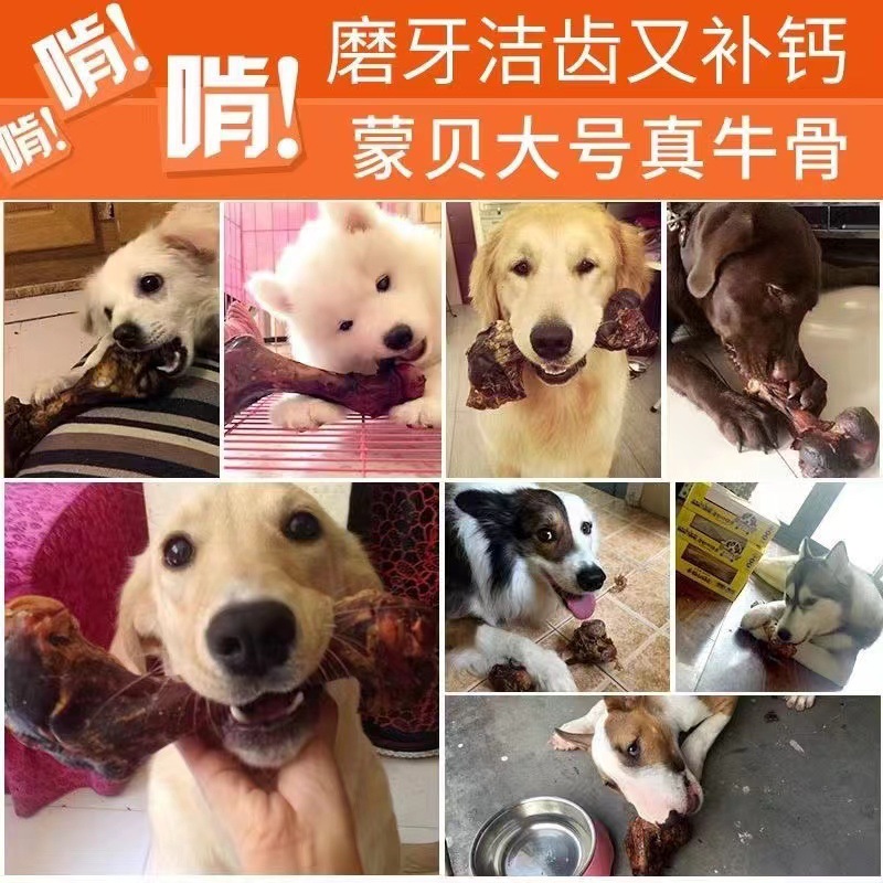 Beef bone dog teeth grinding stick snack puppy Teddy golden…