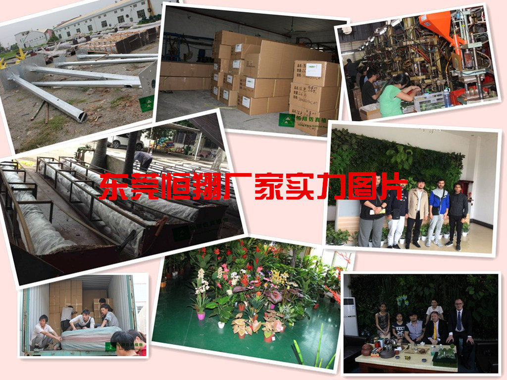 公司实力图_副本