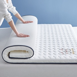 New milk silk cute rabbit mattress rental student dormitory single mattress padded bedding wholesale a generation of hair